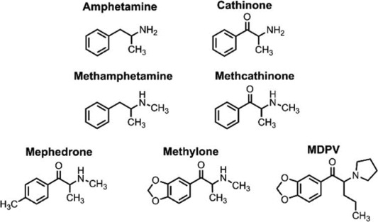 Cathinones Abuse